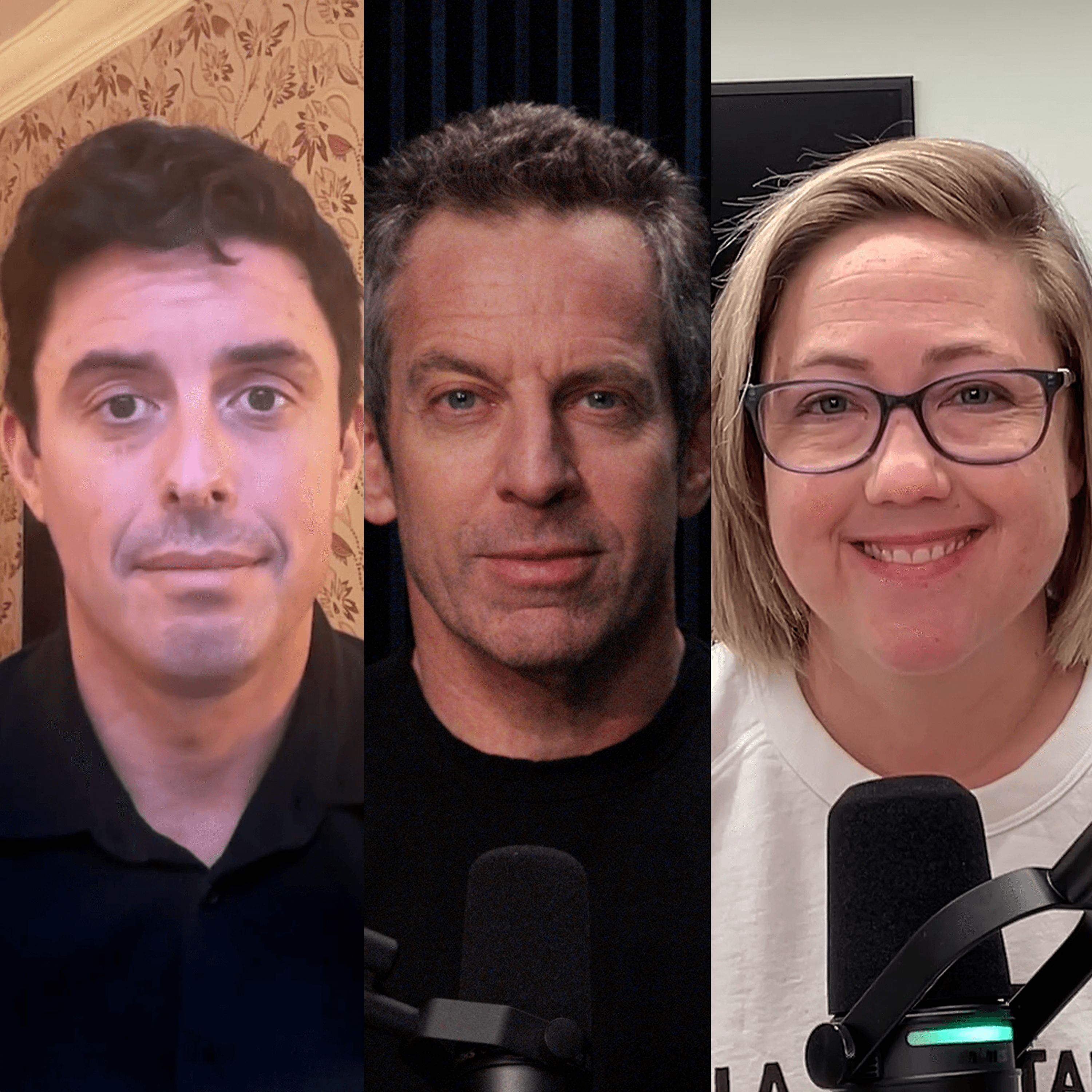 #458 — The Bulwark Against MAGA - Making Sense with Sam Harris cover